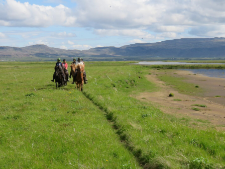 Iceland Horse Riding Tour 